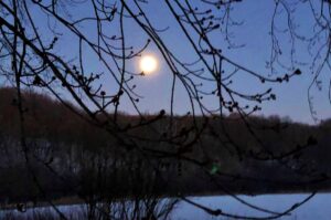 covid recovery, snow moon