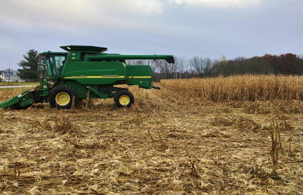 harvest, corn