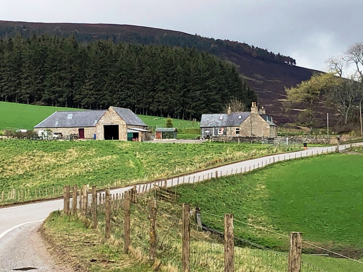 The challenge of navigating Scottish roadways